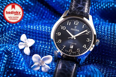 Festina Titanium Date 20469/2
