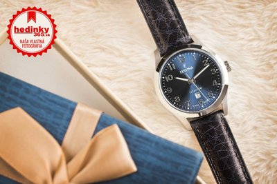 Festina Titanium Date 20469/2