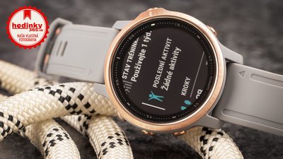 Garmin Fenix 6S PRO Sapphire, RoseGold/Gray Band (MAP/Music)