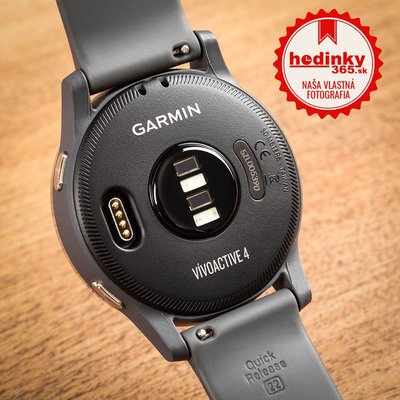 Garmin Vívoactive 4 Silver/Gray Band