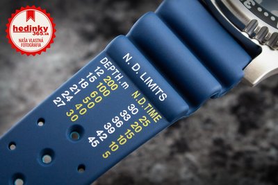 Citizen Promaster Marine Automatic Diver's NY0040-17LE