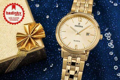 Festina Classic Bracelet 20514/3