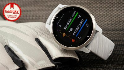 Garmin Venu 2S Silver/Gray Band