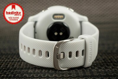 Garmin Venu 2S Silver/Gray Band