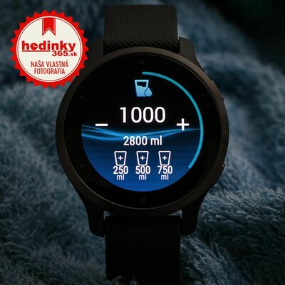 Garmin Venu 2S Slate / Black Band