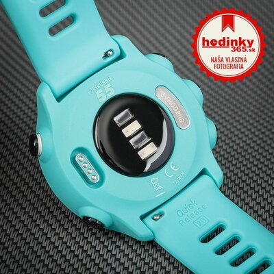 Garmin Forerunner 55 Blue