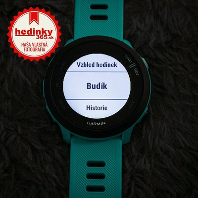 Garmin Forerunner 55 Blue