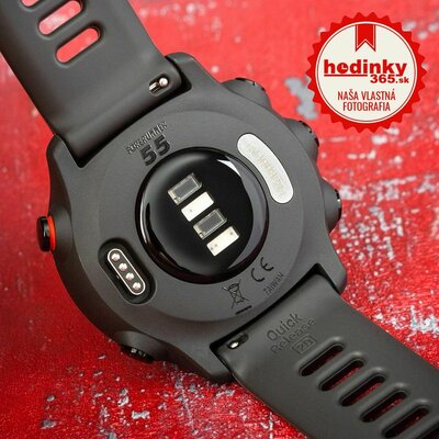Garmin Forerunner 55 Grey (rozbalené)