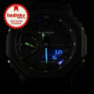 Casio G-Shock Original GA-2100-1A3ER Carbon Core Guard Utility Black Series
