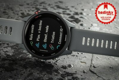 Garmin Forerunner 255 Slate Grey