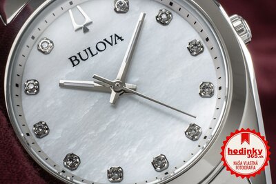 Bulova Surveyor Diamond Quartz 96P228