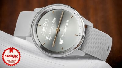 Garmin Vívomove Trend Silver / Mist Gray Band (II. Akosť)