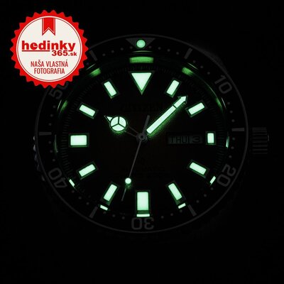 Citizen Promaster Marine Automatic NY0120-01ZE