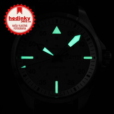 Hamilton Khaki Pilot Day Date Automatic H64635550