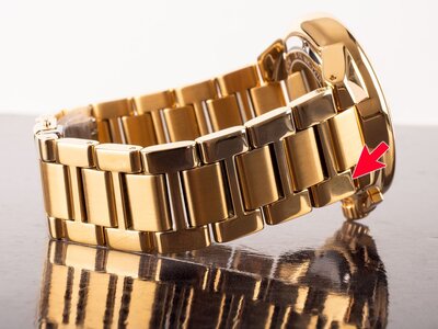 Michael Kors Camille MK7270 (II. Akosť)