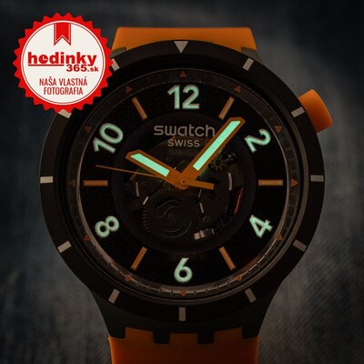 Swatch FALL-IAGE SB03G107