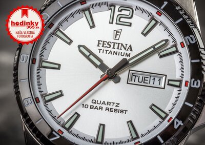 Festina Titanium Date 20699/1
