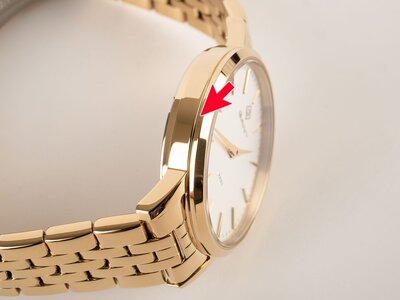 Gant Park Avenue G127023 (II. Akosť)