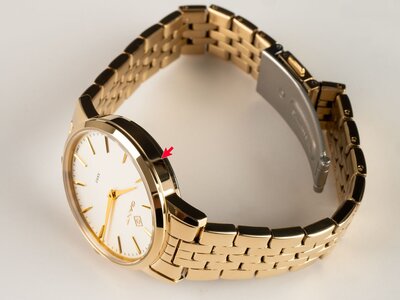 Gant Park Avenue G127023 (II. Akosť)