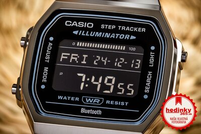 Casio Vintage ABL-100WEGG-1BEF