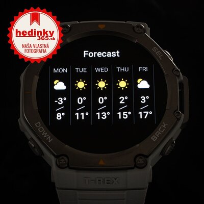 Amazfit T-Rex 3, Haze Grey