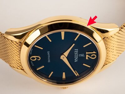 Festina Swiss Made 20077/4 (II. Akosť)