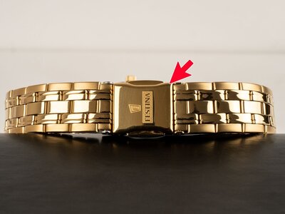 Festina Classic Bracelet 20514/3 (II. Akosť)