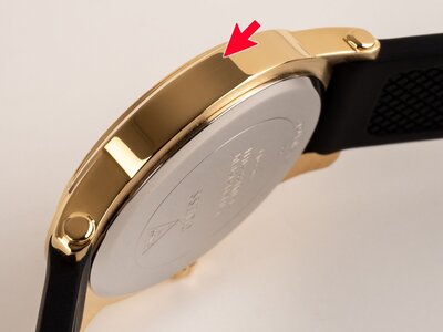 Guess Annette GW0860L1 (II. Akosť)