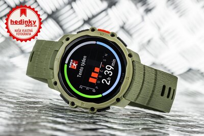 Polar Street X Forest Green