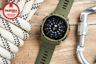 Polar Street X Forest Green