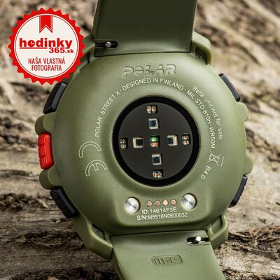 Polar Street X Forest Green